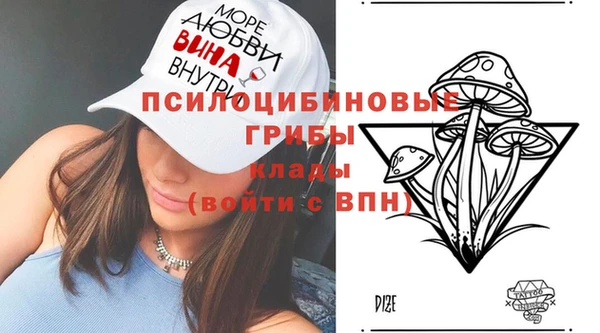 амф Зеленодольск