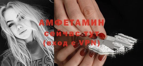 прущие грибы Инсар