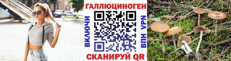 купить наркотики цена  Змеиногорск  Псилоцибиновые грибы GOLDEN TEACHER 